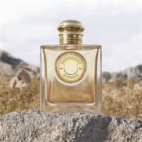 duty free brasil perfume burberry|NEW Burberry Goddess fragrance launches in duty.